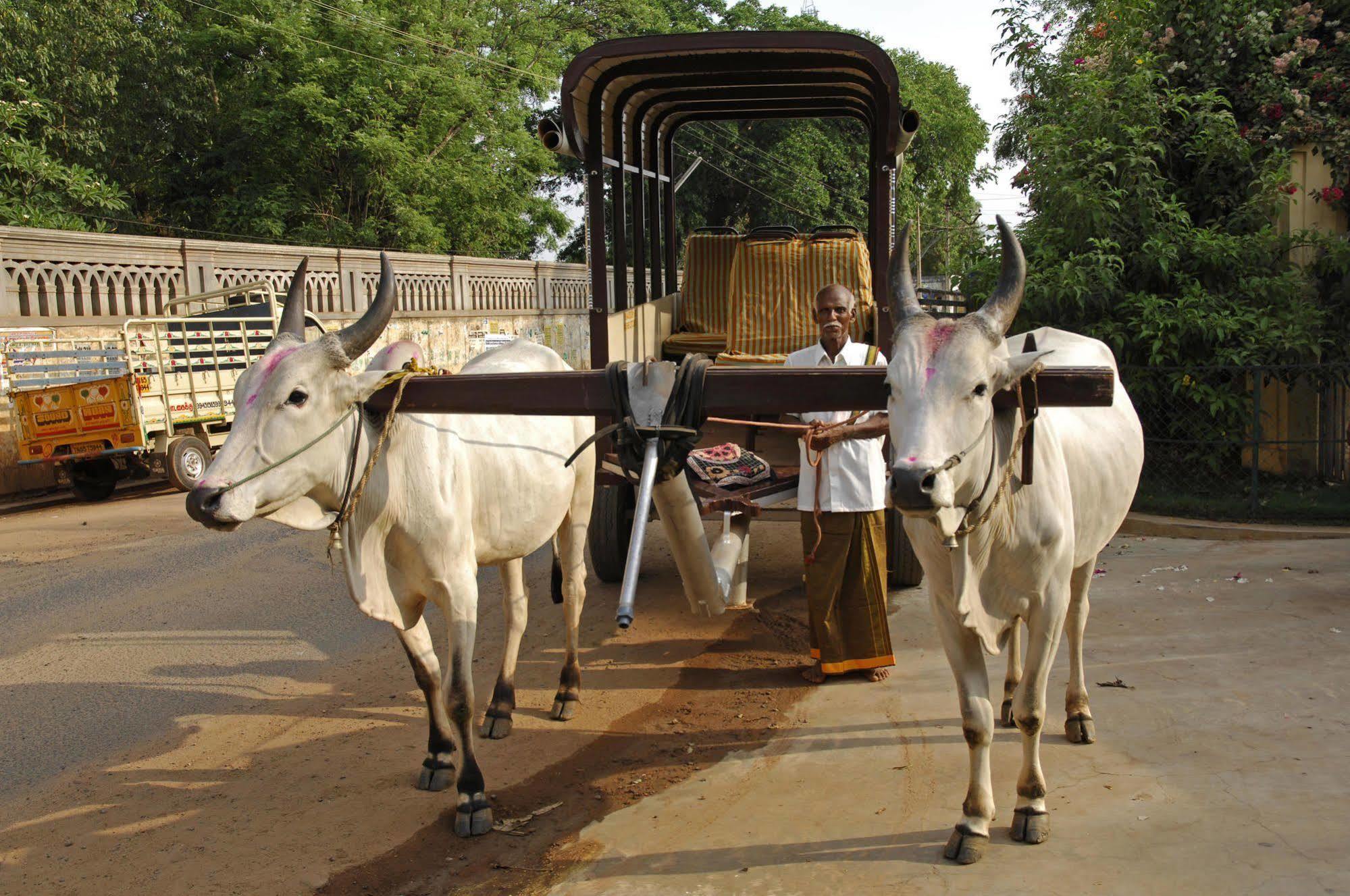 Visalam Chettinad Palace - A Cgh Earth Experience Kanadukattan